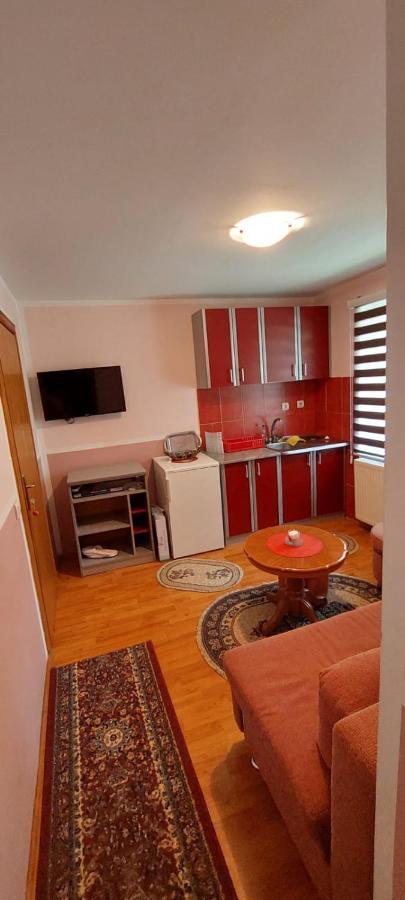 Vila Delic Apartment Zlatibor